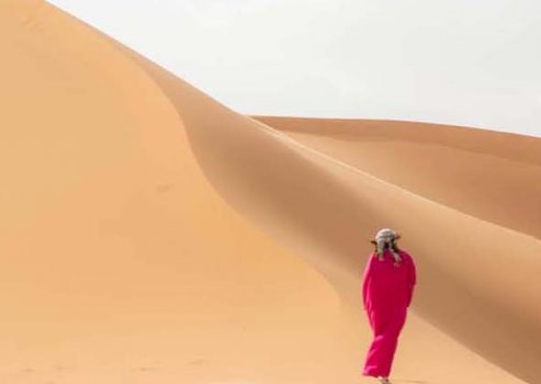 サハラ砂漠への旅